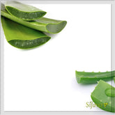 Aloe Vera Soap 150 Gr
