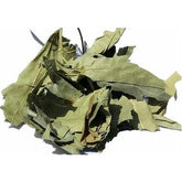 Sycamore (Leaf) 30 Gr