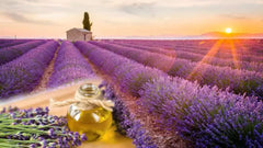 konsenay lavanta yagi 10 ml