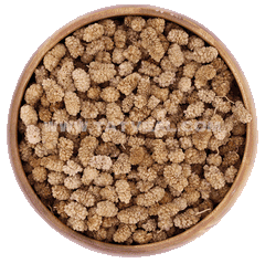 Natural White Dried Mulberry