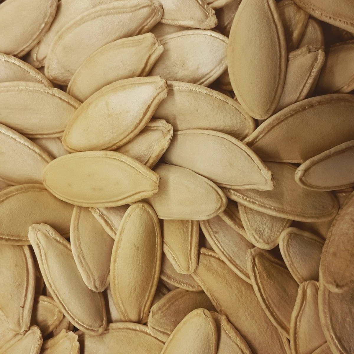 pumpkin seeds (natur)